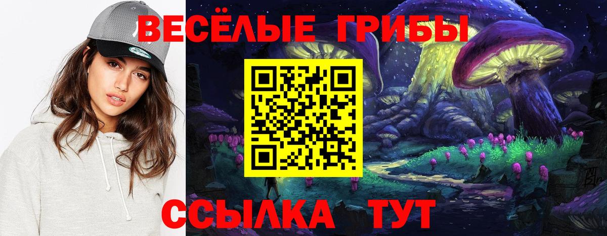 Ухта  Псилоцибиновые грибы Psilocybe  Вход с VPN 
